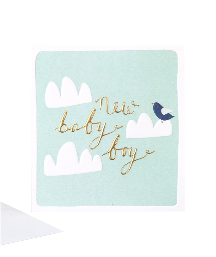 New Baby Boy